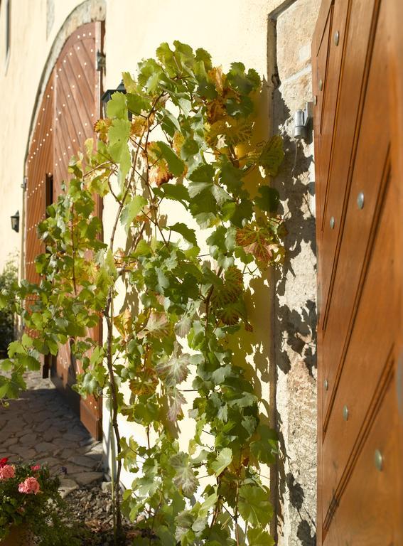 Gastehaus Im Weingut Schloss Proschwitz Hotel Meißen Esterno foto